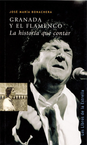 Granada Y El Flamenco, De José María, Bonachera García. Editorial Publicaciones De Diputación Provincial De Granada, Tapa Blanda En Español