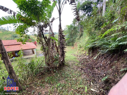 Imagem 7 de 30 de Excelente Chácara Com 6.976 Metros Com Mina À Venda Em Santa Isabel. - Ch01006 - 69888105