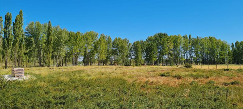 Imagen 1 de 4 de Venta - Terreno Hectáreas Chacra - China Muerta Feria El Mangrullo, Neuquén