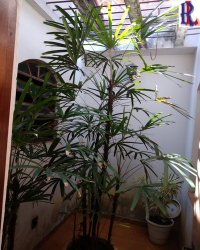 Imagem 9 de 20 de Casa - Cs00008 - 70717038
