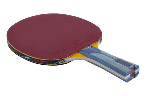 Paleta De Ping Pong Giant Dragon Professional Super G Negra