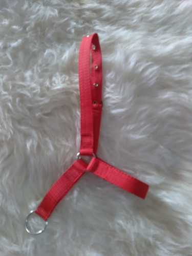 Cabresto De Mini Pônei