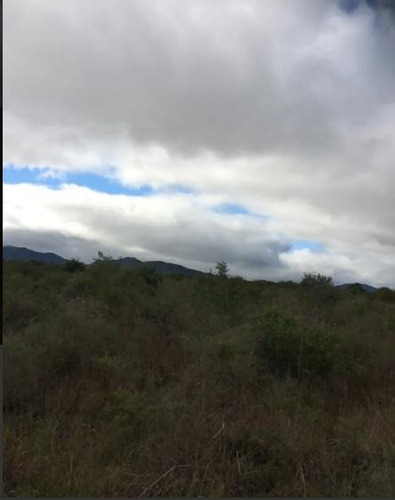 Imagen 5 de 5 de Campo - Dean Funes