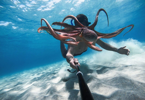 Imagen 6 de 10 de Gopro Hero 9 Black Entrega Inmediata !!!