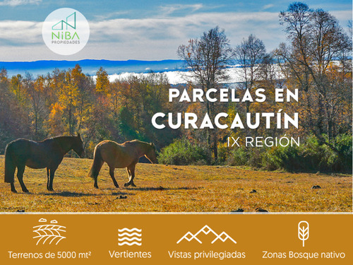 Parcela En Venta En Curacautín