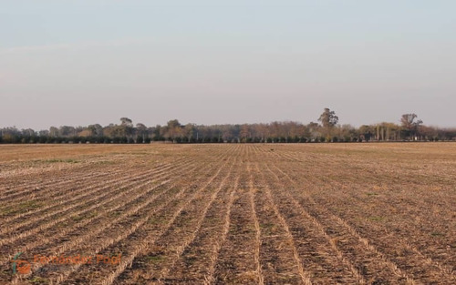 Imagen 10 de 23 de Oportunidad Campo En Zavalla