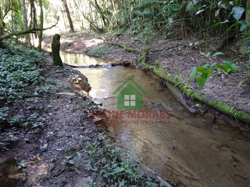 Imagem 3 de 28 de Chácara Medindo 1 Alqueire Paulista Em Juquitiba Sp Ref.: 0955