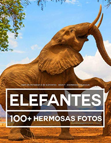 Libro De Fotografia De Elefantes  Gran Y Asombrosa Coleccio