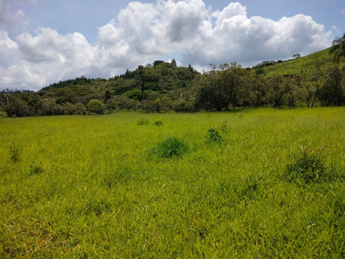 Imagem 2 de 22 de J.v Lotes De 1000 Metros Por 40 Mil À Vista Em Votorantim