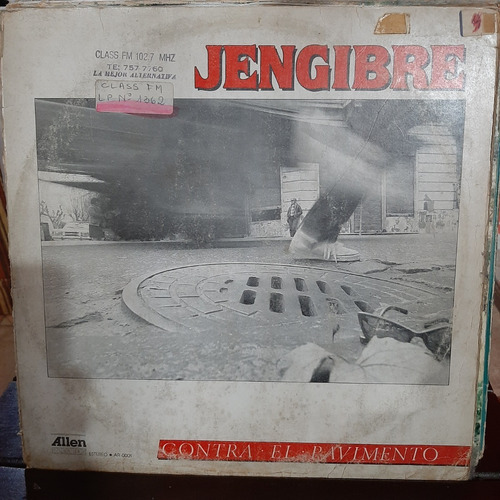 Vinilo Jengibre Contra El Pavimento Insert Rn2