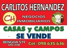 Imagen 2 de 3 de Campos Estancias Chacras En Venta En Brasil - Disponemos
