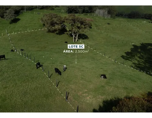 Lotes En Venta, Altos De La Virgen, Guarne