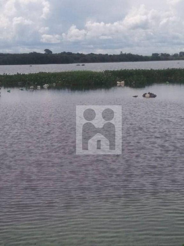Imagem 15 de 30 de Chácara Com 3 Dormitórios À Venda, 2 M² Por R$ 637.000,00 - Zona Rural - Miguelópolis/sp - Ch0025