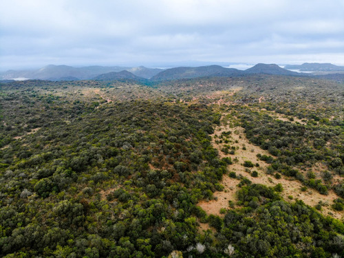 Campo De 200 Hectareas En Argentina, Cordoba. Villa De Dique