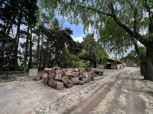 Imagen 18 de 30 de Importante Casaquinta. 564 M2 Construidos Totales. Villanueva, Gral. Paz.