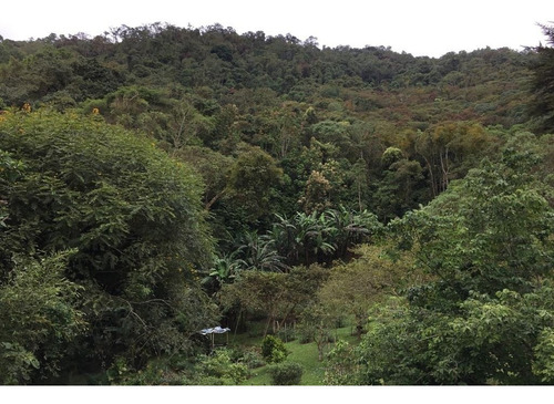 Imagen 11 de 11 de Hermosa Finca En Felidia, Cali, Vereda El Cedral Valle Del Cauca