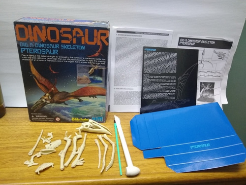 Kit Manualidades Dinosaurio 4m. Pterosaur Esqueleto Con Caja