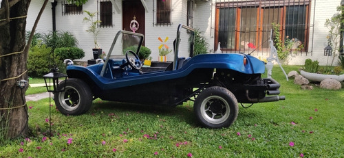 Buggy Puelche