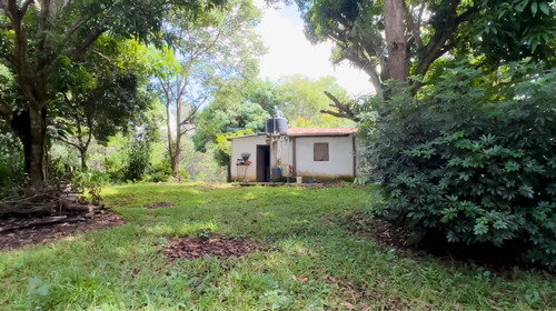 Finca De 887 Tareas En República Dominicana