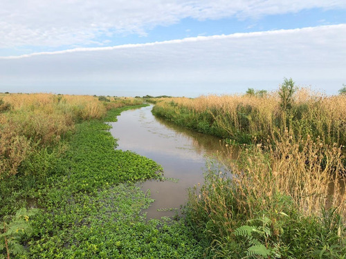 Campo En Santiago Del Estero Apto Para Explotación Ganadera (2200 Ha)