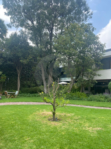 Oficina En Renta En Lomas De Reforma