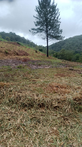Vende-se Terreno Para Construir De Sítio Ou Chácara