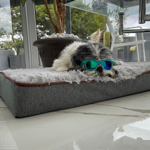 Imagen 2 de 6 de Cama Ortopédica Para Mascotas Medianas