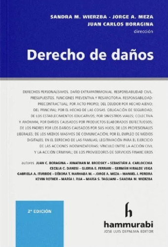 Derecho De Daños, De Sandra M. Wierzba · Juan Boragina · Jorge Meza (dir.)., Vol. 1. Editorial Hammurabi, Tapa Blanda, Edición 2 En Español, 2023