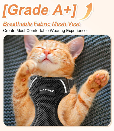 Juego Arnés Y Correa Ajustable Para Gato Transpirable