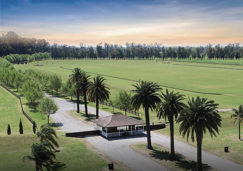 Imagen 2 de 30 de Oportunidad Lotes En Technopolo Country Club - Listos Para Construir!!!
