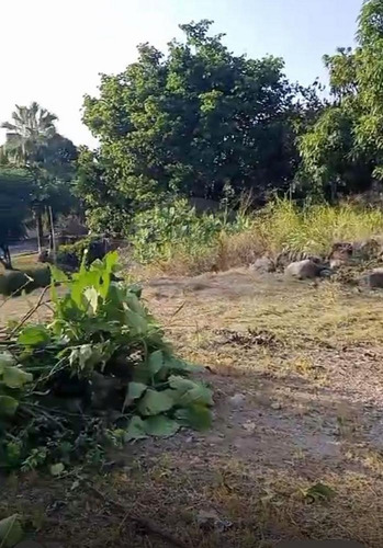 Terreno Residencial En Venta En Emiliano Zapata