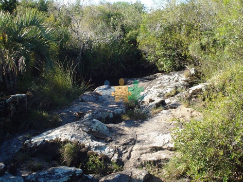 Imagen 8 de 18 de Campo 96 Has En Carape Cuenta Con Costa De Arroyo. - Ref : Eqp2775