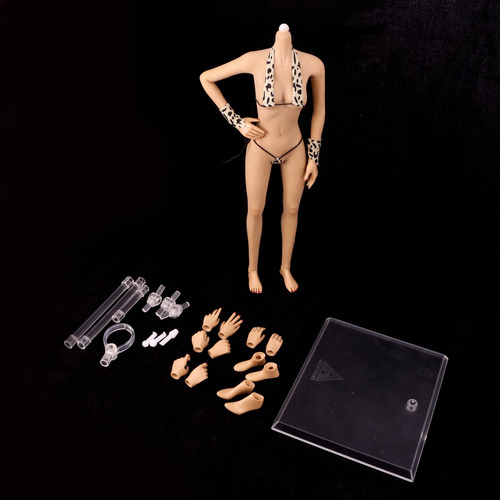 Imagen 2 de 6 de 1:6 Escala Parte Cuerpo Femenino De Vitrinas Para Figuras