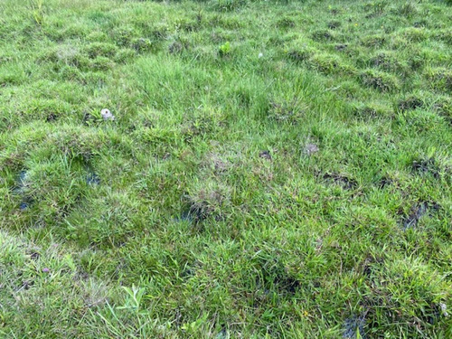 Imagen 30 de 30 de 7 Chacras De 5 Has Cada Una A 20 Km De Aigua Por Ruta 39 - Consulte !!!!!