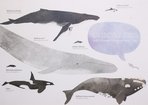 Guia Didactica De Cetaceos - Fundacion Meri