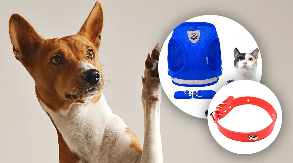 Animales y Mascotas