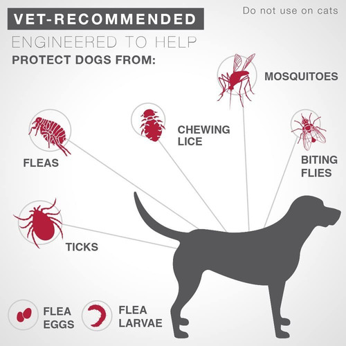 K9 Advantix Ii Flea And Tick Prevention For Medium Dogs, 11-