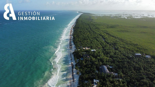 Imagen 4 de 10 de Terreno En Venta En La Reserva De Siankan Tulum. Ctv47.
