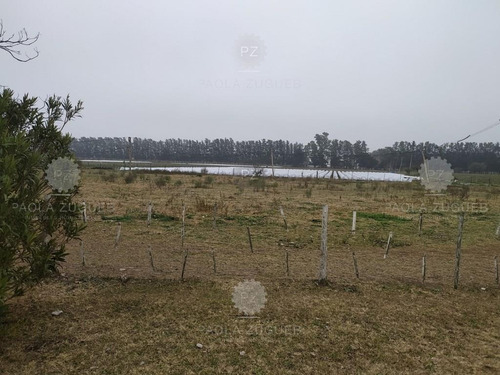 Imagen 21 de 25 de Terreno Campo En Venta En Berazategui, G.b.a. Zona Sur, Argentina