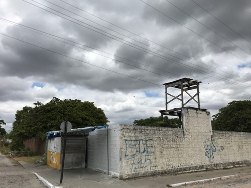 Imagem 2 de 11 de Terreno Para Alugar Na Cidade De Caucaia-ce - L10500