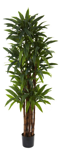 Nearly Natural 5403 Dracaena Arbol, 6.5 Pies, Verde, 84 X 8