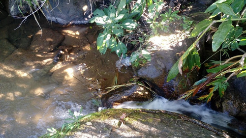 Imagem 15 de 15 de Sítio Para Venda Em Nova Friburgo, Macaé De Cima - 164_2-1193147