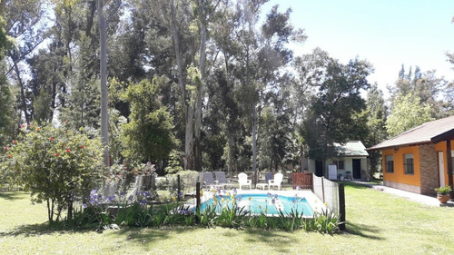 Imagen 4 de 12 de Alquiler Casa Quinta. Los Bosquecitos. Brandsen
