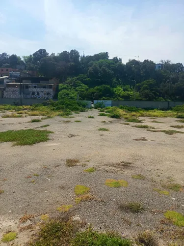 Terreno Grande En La Atlantida