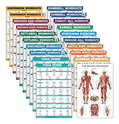 Paquete De 20 - Juego De Póster De Ejercicios: Mancuerna, Su