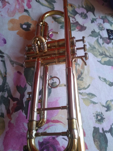 Wisemann (Usado)