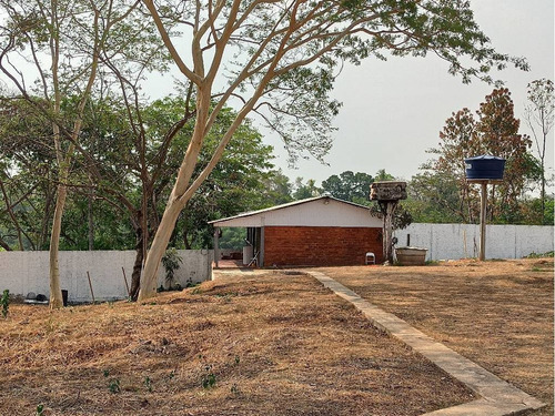 Imagem 30 de 30 de Barracão Com Amplo Terreno A 200 Metros Da Feb - 23824
