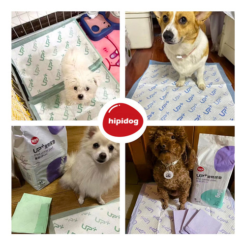 Tapete Higiênico Cães 60x45 50un Absorção Higiene Pet Up