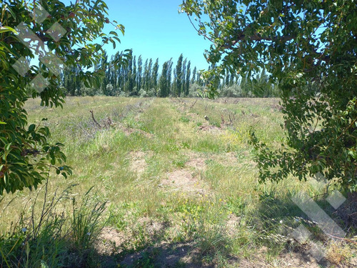 Terreno En General Fernandez Oro - Barrio Parque  La Antonia 