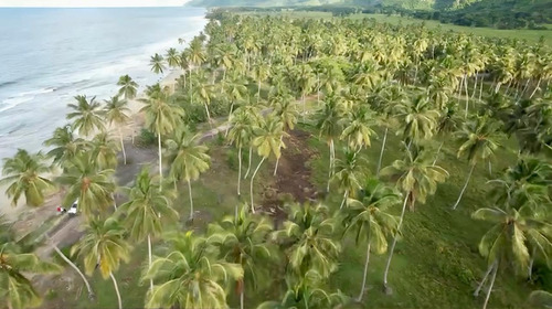 Terreno Con Playa De Venta En Samana